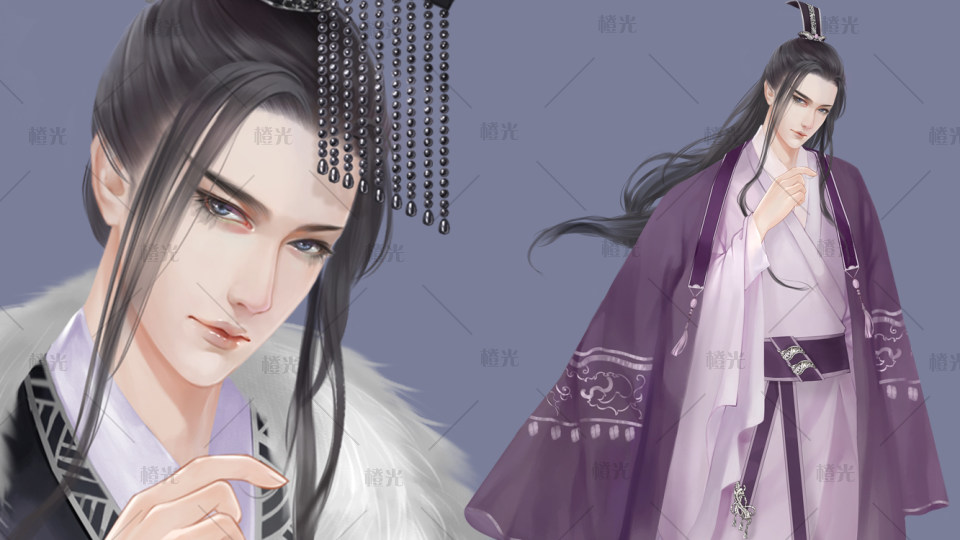 帝王贵公子王爷
