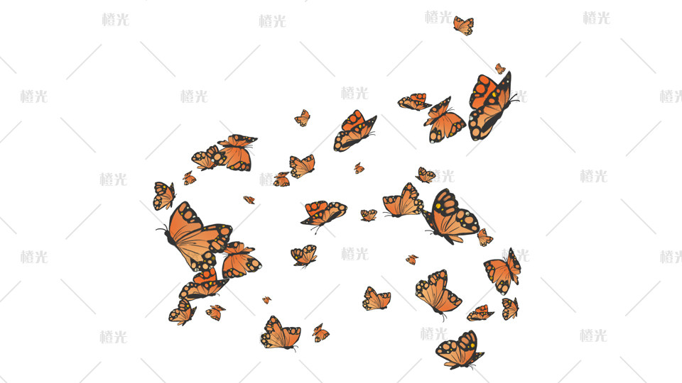 蝴蝶群橘红黑色